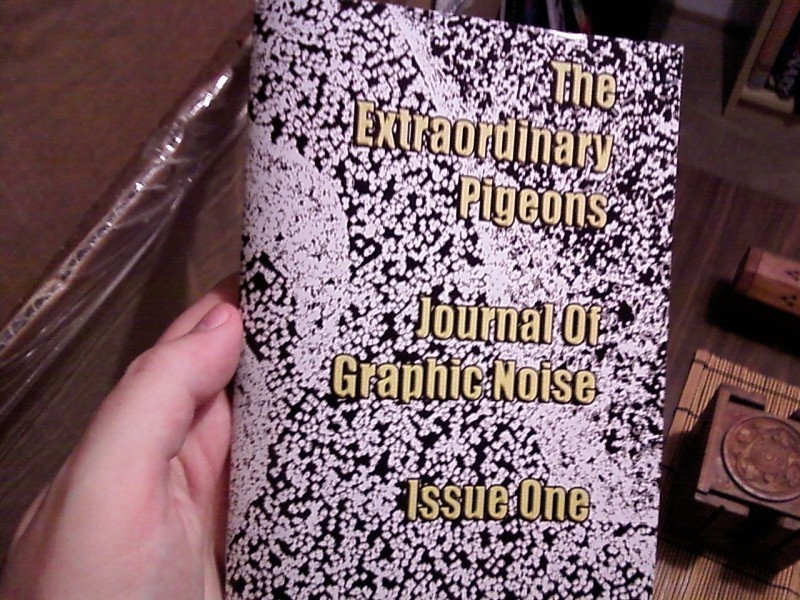 Zine Record Extraordinary Pigeons - 