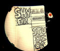 Shyer Studios image