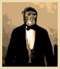 Monos Mayordomo image
