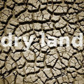 Dry Land — Photo