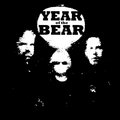 Year of the Bear image