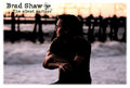 Brad Shaw-The Silent Partner image