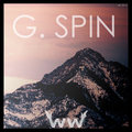 G. Spin image