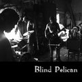 Blind Pelican image