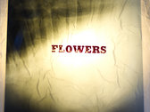 FLOWERS Cut & Run "X-Ray" Lathe-cut photo 