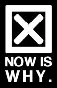 NOW IS WHY image