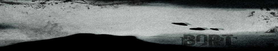 BORT — Photo