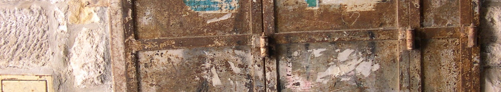 Neev — Photo