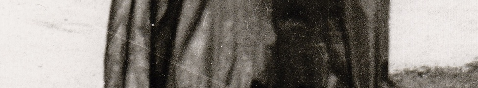 Crosss — Photo