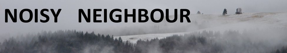 Surreal Noisy Neighbour noisy neighbour bandcamp