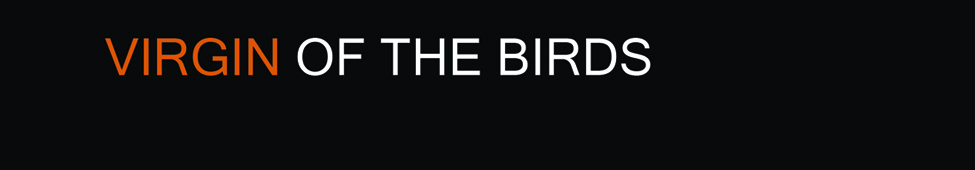 Virgin of the Birds — Photo