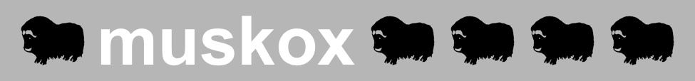 Musk Ox — Photo