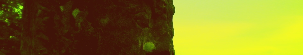 Reincarnation — Photo