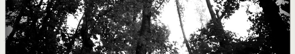 Hissing — Photo