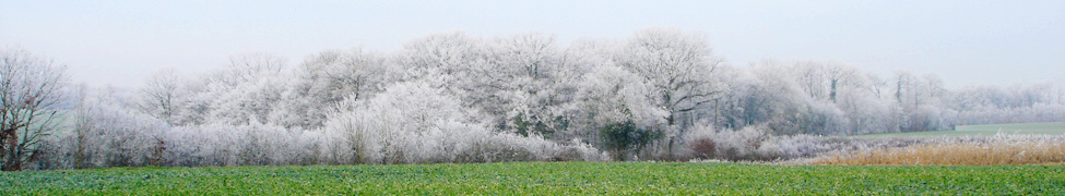 Quonestbien Dit Scale 1 Dit Scale dit scale bandcamp