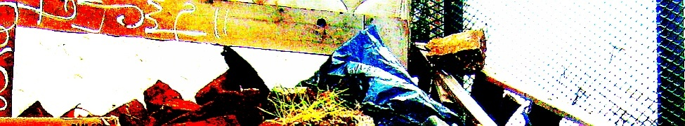 SideQuest — Photo