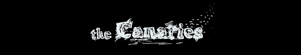 Canaries — Photo