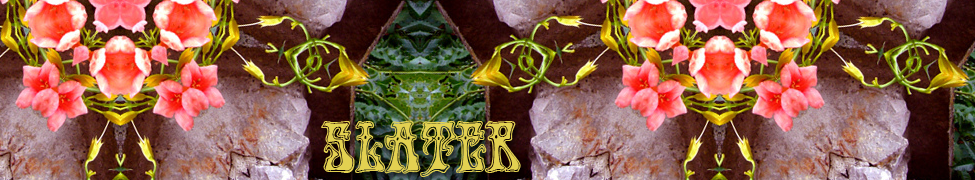 Slater — Photo