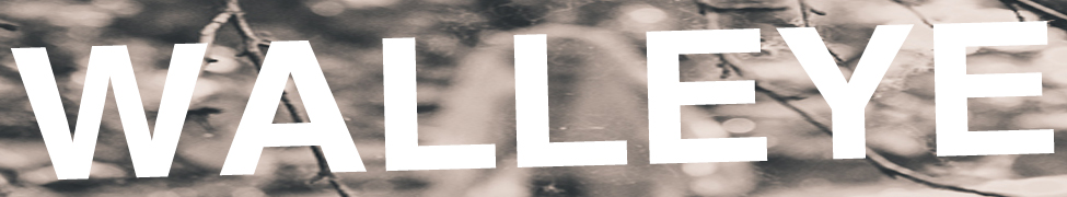 Walleye — Photo · logo