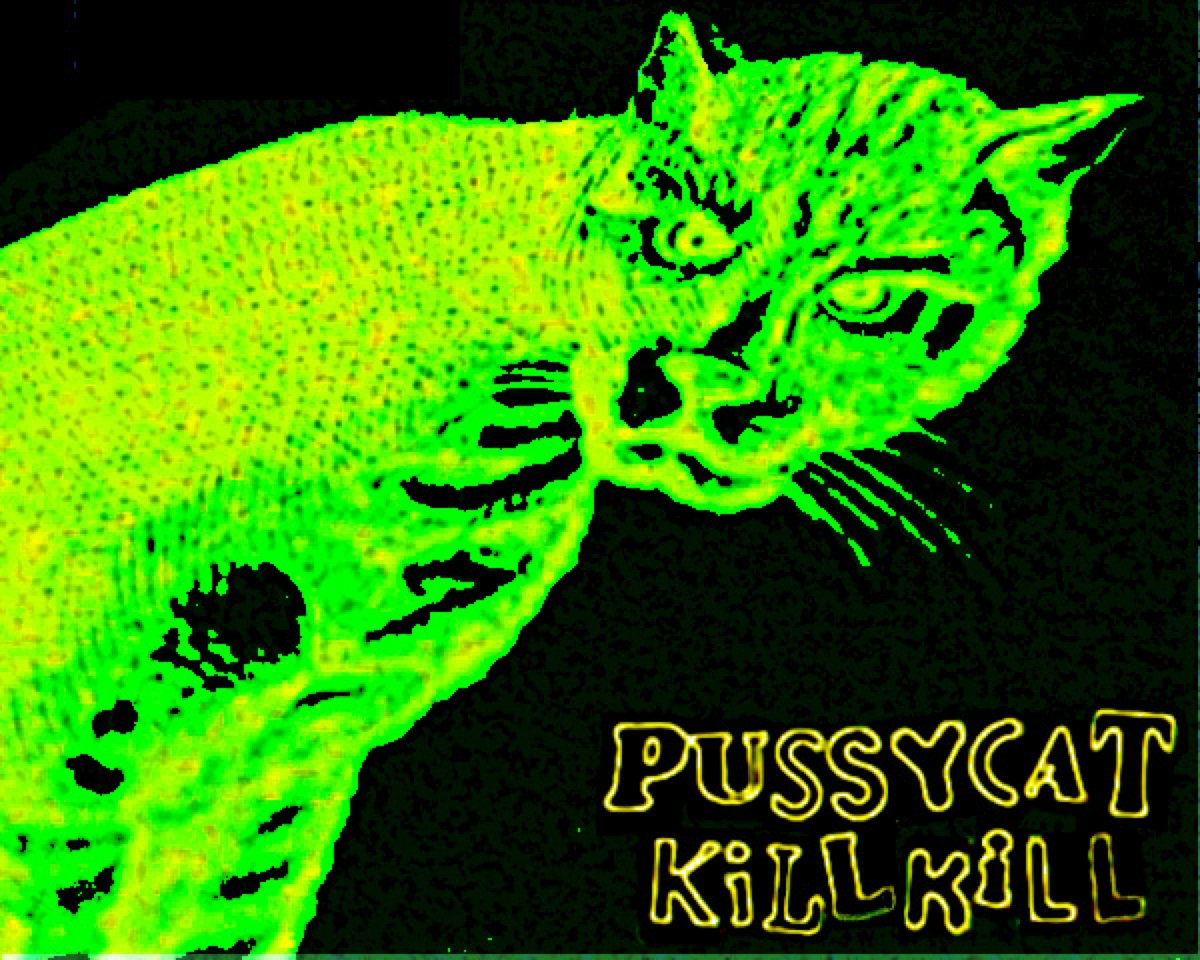 Pussycat kill kill | PUSSYCAT KILL KILL