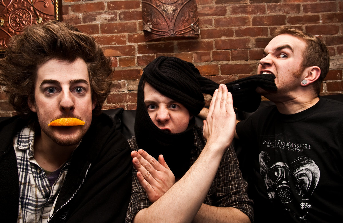 Daisy anthesis 07 picture