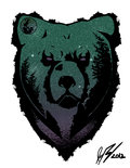 Bear Island image