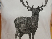 Stag T-Shirt (Men's and Women's Fit) photo 