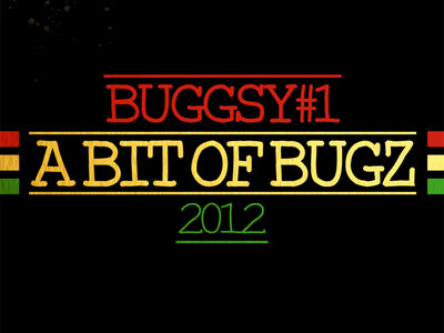 A BIT OF BUGZ 2012 (CD) main photo