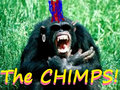 The Chimps image