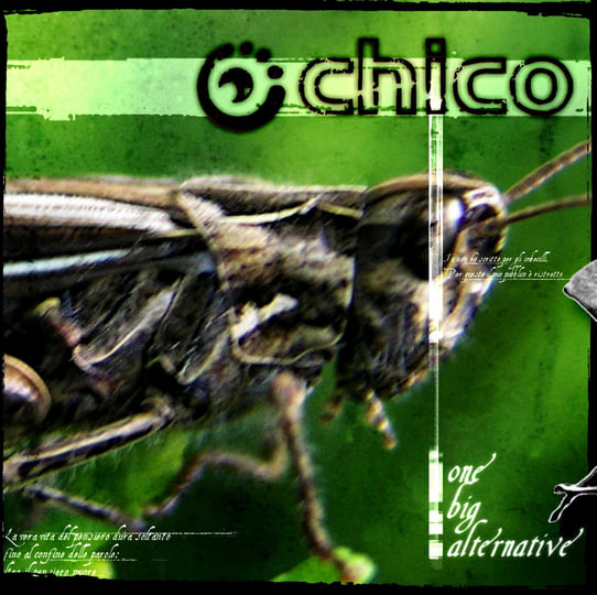 One Big Alternative | Chico