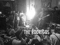 The Rodrigos image