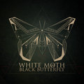 White Moth Black Butterfly image
