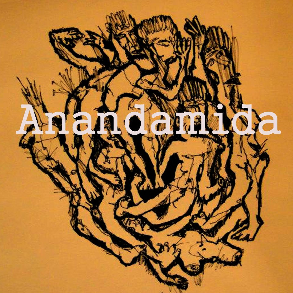 La incertidumbre de un cambio, Anandamida