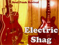 Electric Shag image