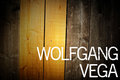 Wolfgang Vega image