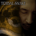 TRIBAL SNAKE image