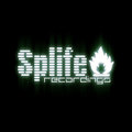Splife Recordings image