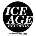 ice age records image