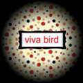 Viva Bird image