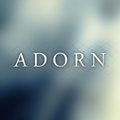 Adorn image