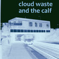 Cloud Waste and the Calf image