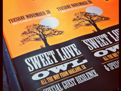 Poster: Sweet Love, Owl, Resilence (11.20.2012) main photo