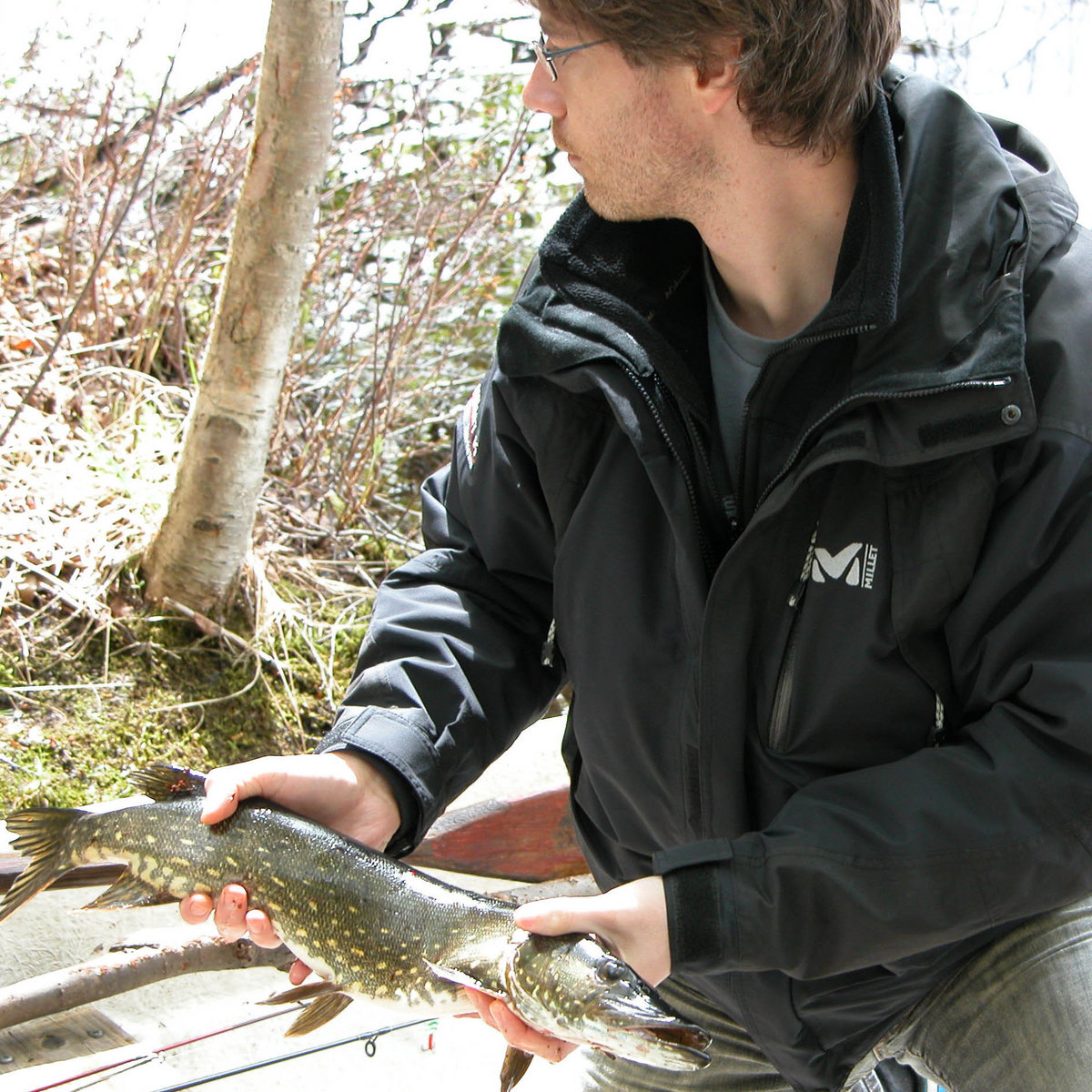 Cover Hearts Library Tapes Sumie 1631 Recordings