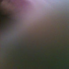 retter thumbnail