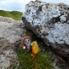 Britpop | A. G. Cook