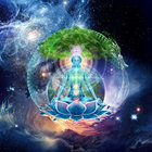 Cody CosmicLotus thumbnail