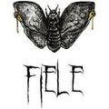 Fiele image