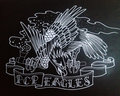 PCP EAGLES image