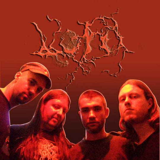 void | VOID