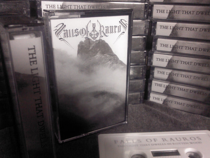 The Light That Dwells in Rotten Wood | FALLS OF RAUROS